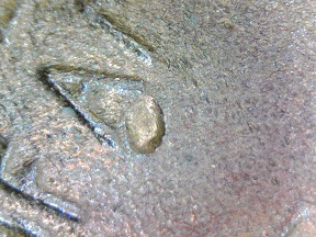 Damaged-1956-D-Test-Lincoln-Wheat-Cent-Or-Just-Junk-?